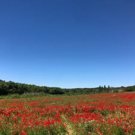 Chez Georges - Maison 1 - Les Du Verdon *