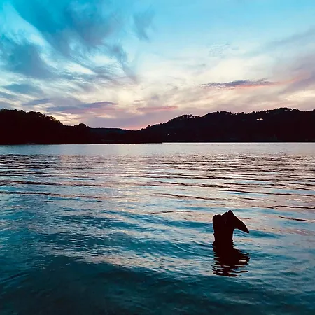 Hébergement de vacances Chez Georges - Maison 1 - Les Du Verdon