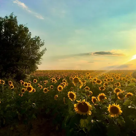 Chez Georges - Maison 1 - Les Du Verdon * Esparron-de-Verdon