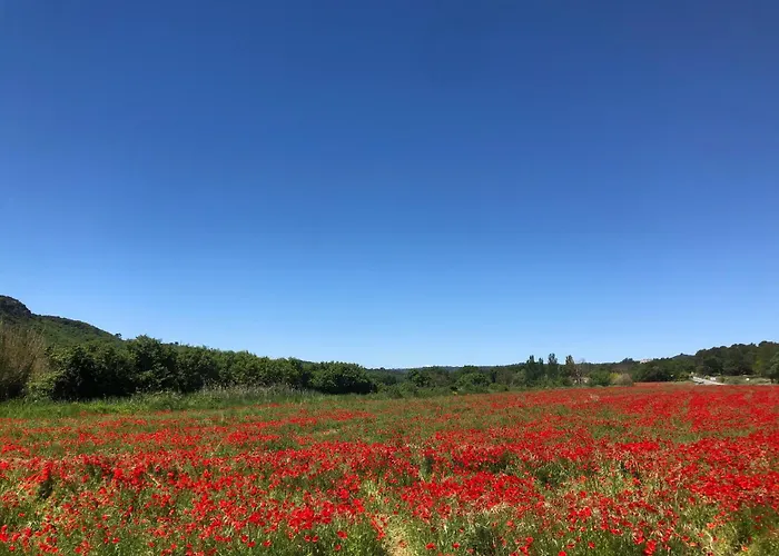 Chez Georges - Maison 1 - Les Du Verdon *