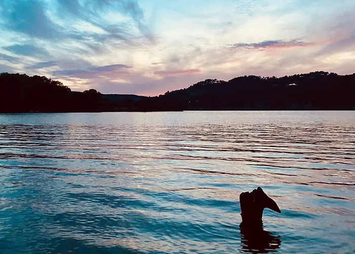 Holiday home Chez Georges - Maison 1 - Les Du Verdon